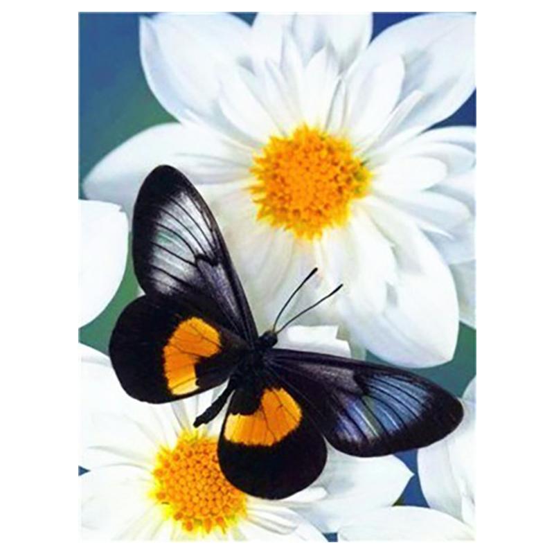 5D Diy Diamond Painting Butterfly Animal Cross Stitch Kit Full Drill Embroidery Mosaic Art Pictures of Rhinestones Home Decor