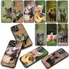 Wild Boar Pig Phone Cover for Samsung Galaxy A36 A17 A26 A07 A35 A54 A53 A13 A33 A34 S8 S9 S20 S21 FE S10 Plus Case