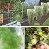 Large Fruit Tree Netting Cover with Zipper Drawstring Design Ultra-Fine Mesh Transparent Bird Insect Garden Netting Plant Cover Mesh Screen