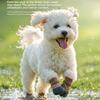 4PCS Adjustable Pet Floor Socks Breathable Pet Paw Protector Non-slip Dog Shoes  Indoor Use