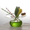 Creative UFO Cocktail Glass Bar Restaurant Glassware Tableware Flying Saucer Smoothie Juice Cup Japan Cuisine Dry Ice Art Plate