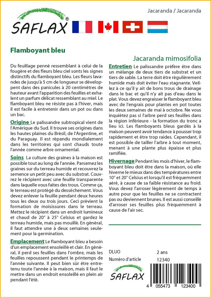 SAFLAX Jacaranda - 50 семян - С горшечным субстратом для лучшего выращивания - Jacaranda mimosifolia