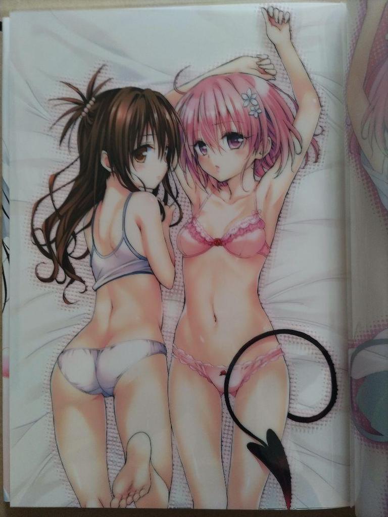 [Б/У] Коллекционное издание To Love-Ru Darkness Артбук Венера