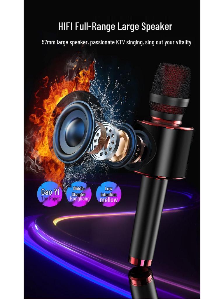Wireless Bluetooth Mobile Microphone & Speaker for Home Karaoke with Built-in Sound Card