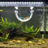 Plastic Floating Fish Hammock 3D Printing Aquarium Resting Platforms  Small Aquatic Pets