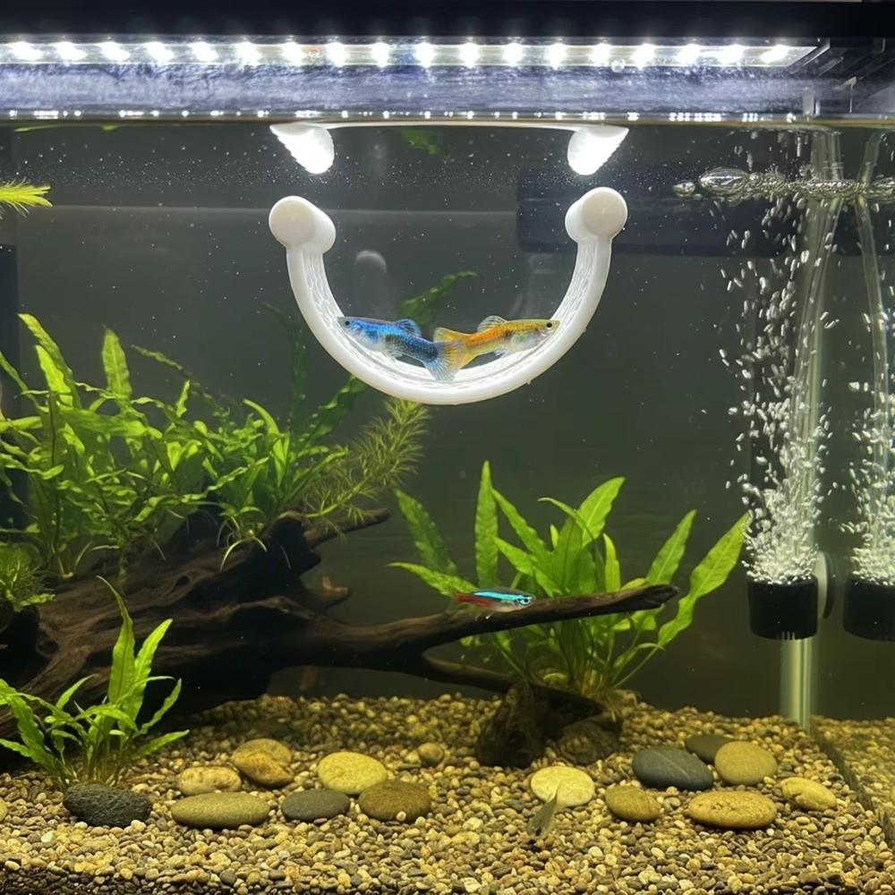 Plastic Betta Fish Hammock 3D Printing Aquarium Resting Platforms for Rest Sleeping Playing