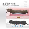 Patas Lague Dog L for Medium and Large with Cat Cushion Removable 91cm x Pink Bed, Design, Dogs, High-Rebound, Waterproof, Washable, Pillow, Cover,
