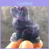 Unique Natural Colourful Fluorite Quartz Crystal Dog Hand-carved Healing Home Decor Piece