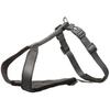 Dog Harness - TRIXIE - Premium - Size S-M 45-50 Cm - Neoprene Padding - Reflective