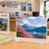 Nami T-shaped Acrylic Stand A4 Double-sided Display Easy to Replace Paper Stable Clear Transparent Menu Stand Store Reception Welcome Board (210 x