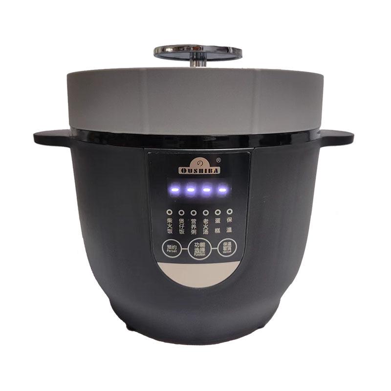 Ouzhibao Smart Dual-Use Rice Cooker Pot, 2L Capacity, 24V/12V for Car and Home.