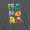 Sesame Street Unisex Adult Grid Photos Hoodie