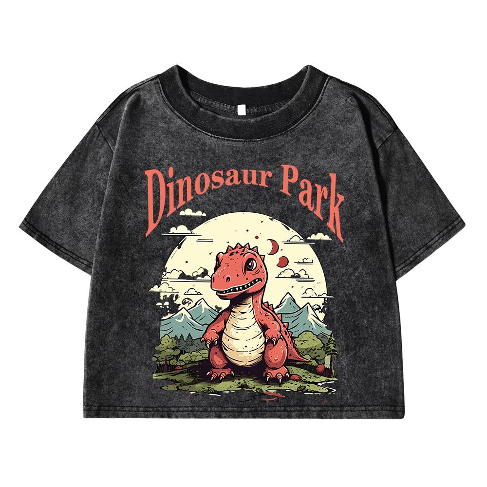 Dinosaur Park Cartoon Print Women Washed Short T Shirts Summer Fashion T Shirts Airy O-Neck Tee Shirts Soft Oversize Clothes