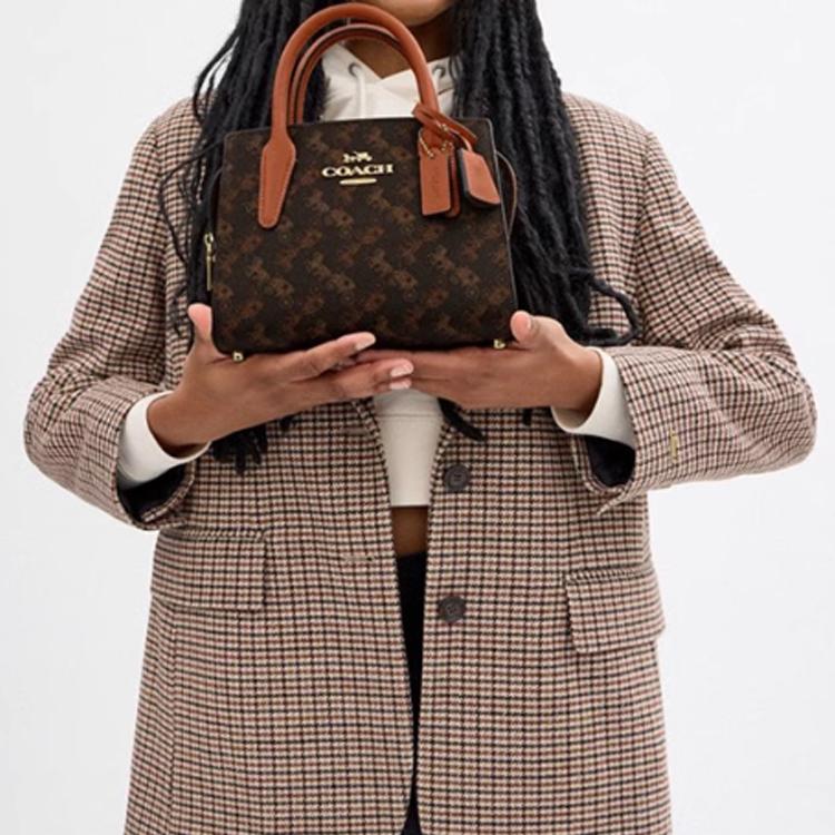 Coach Сумка-тоут Andrea Carryall 22 с принтом "Лошадь и карета", из синтетической кожи, через плечо, маленькая женская сумка-тоут, цвет Трюфель CZ336-IMS2K