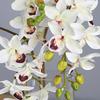 2 Fork Artificial Phalaenopsis Branches Real Touch Handmade Artificial Butterfly Orchid Flower Realistic Fake Flowers
