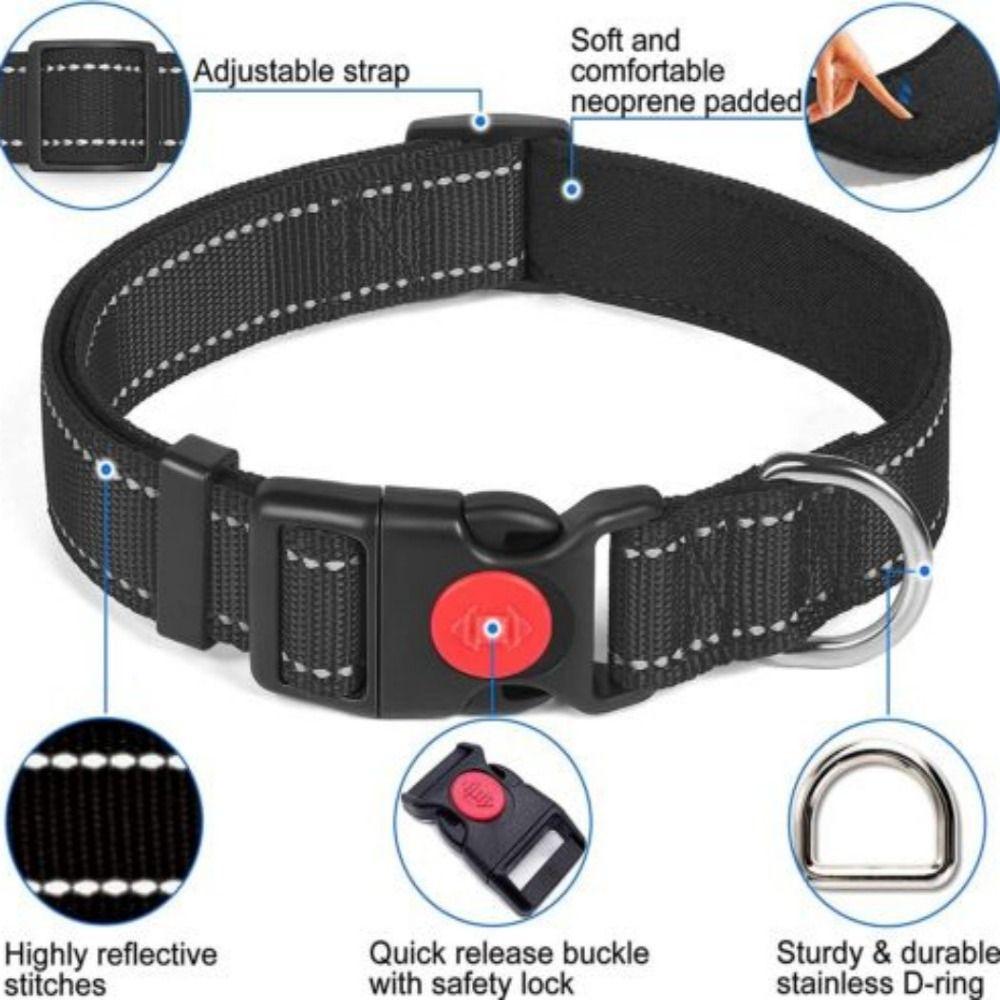 Buckle Nylon Durable Pet Collar Double D Ring Dog Collar Reflective Padded