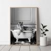 Animals In Bubbles Bathtub Modern Cute Highland Cow Koala Posters and Prints Canvas Printing Wall Art Picture for Bathroom Decor
