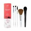 Color Makeup Brush Set