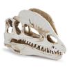 Resin Dinosaur Skeleton Aquarium Decoration Dinosaur Skull Skeleton Ornament Fish Tank Terrarium Decor Halloween Decoration