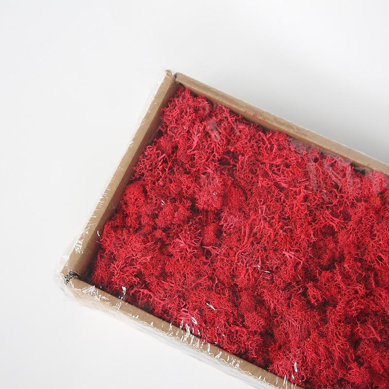 Preserved Flower & Moss Wall Decoration Kit: Flower Gift Box Materials