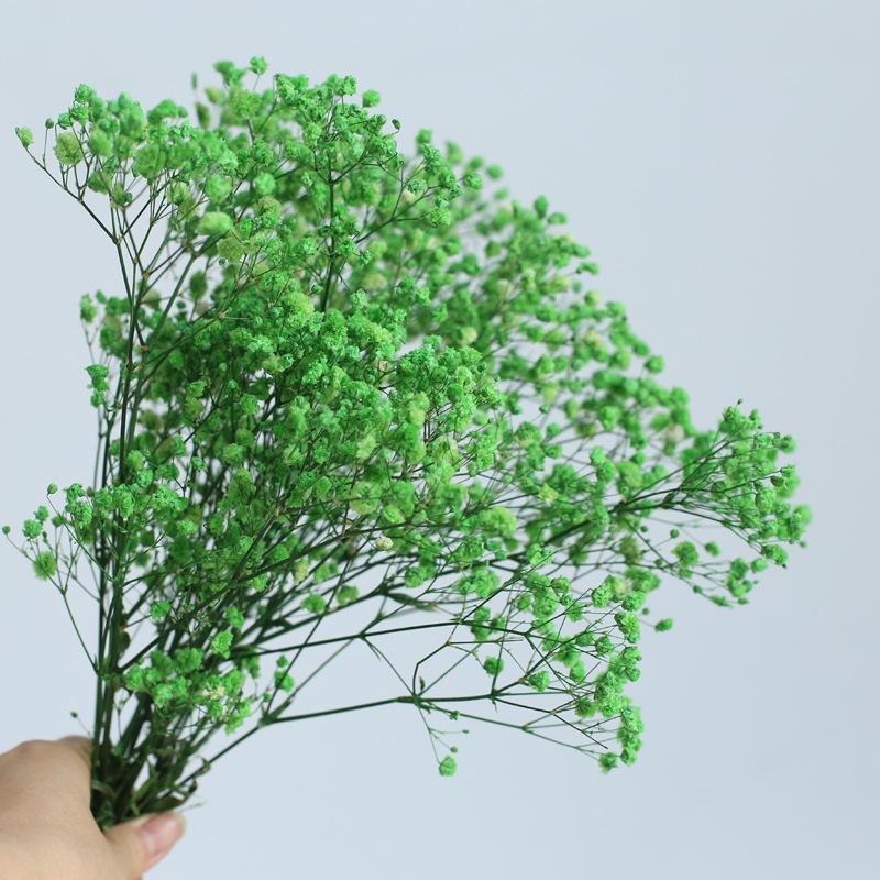 Yunnan Preserved Baby's Breath Bunch - Colorful DIY Home Decor Flower