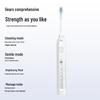 Bo Hao T42 Smart Sonic Electric Toothbrush