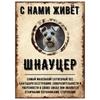 ОСТОРОЖНО СОБАКА Забавная Шнауцер Металлическая Табличка Декор для Питомца 20x30см