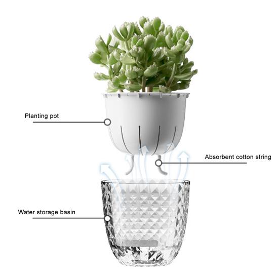 Самополивающийся цветочный горшок Видимый двухслойный плантатор с фитильным шнуром Самополивающийся горшок для растений для комнатных растений Орхидеи Травы