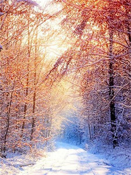 Полный квадратный круглый набор для алмазной живописи Дерево Снег Домашний декор Вышивка Мозаика Зимний пейзаж Настенное искусство