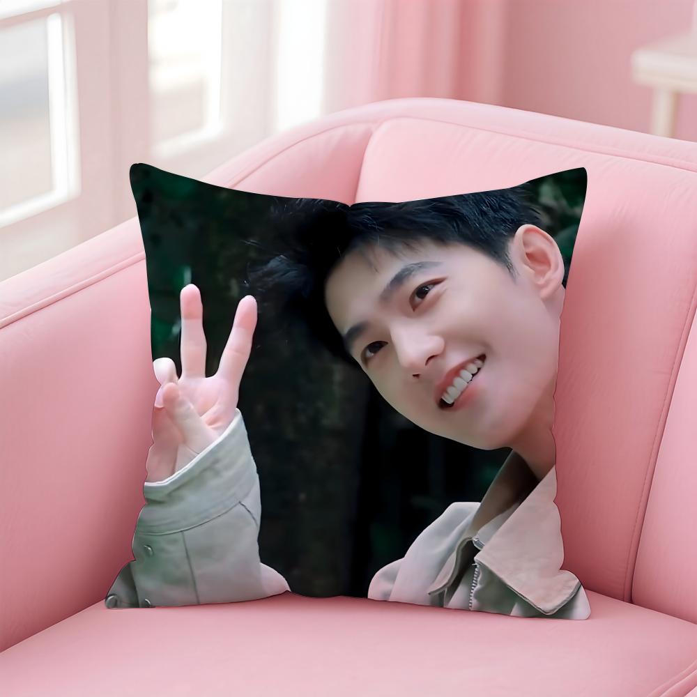 actor handsome YYang Yang Cushion Cover Pillow Case Soft Skin Friendly Fabric Concealed Zipper