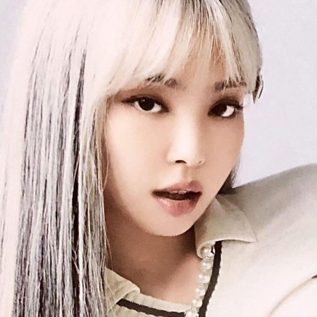 [USED] Not for Sale BLACKPINK B2 Size Poster