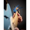 [Genuinely imported product] G7TH NASHVILLE CAPO For 6 string fork BLUE capo tasto