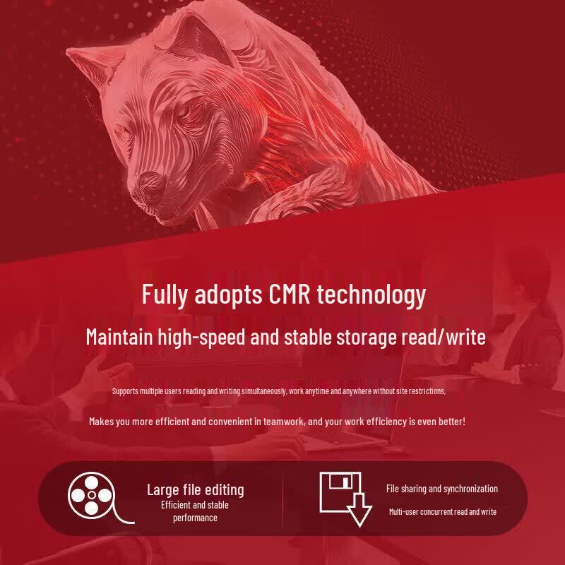 Seagate IronWolf 16TB NAS Hard Drive