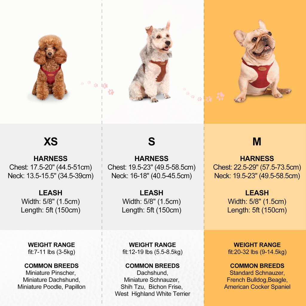 Cute Step-In PU Leather Dog Harness & Leash Set Adjustable Pet Puppy Walking Vest Lead for Small Medium Dogs