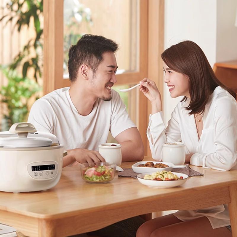220V 2.5L Slow Cooker Baby Supplement Machine Mini Bird's Nest Stew Pot White Porcelain Waterproof Stew Pot