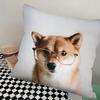Cheems Shiba Inu Doge Pillow Case Square Pillow Bedroom Sofa Leisure Comfort Cushion Car Living Room Home Decoration