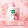 Dettol Антибактериальное увлажняющее средство для мытья рук