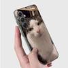Pet Cat Funny Memes Phone Case for Samsung A16 A26 A36 A56 A17 A37 A57 A07 A06 A02S A03 A04S A05S Galaxy Note 20 10 A50S A71 A51