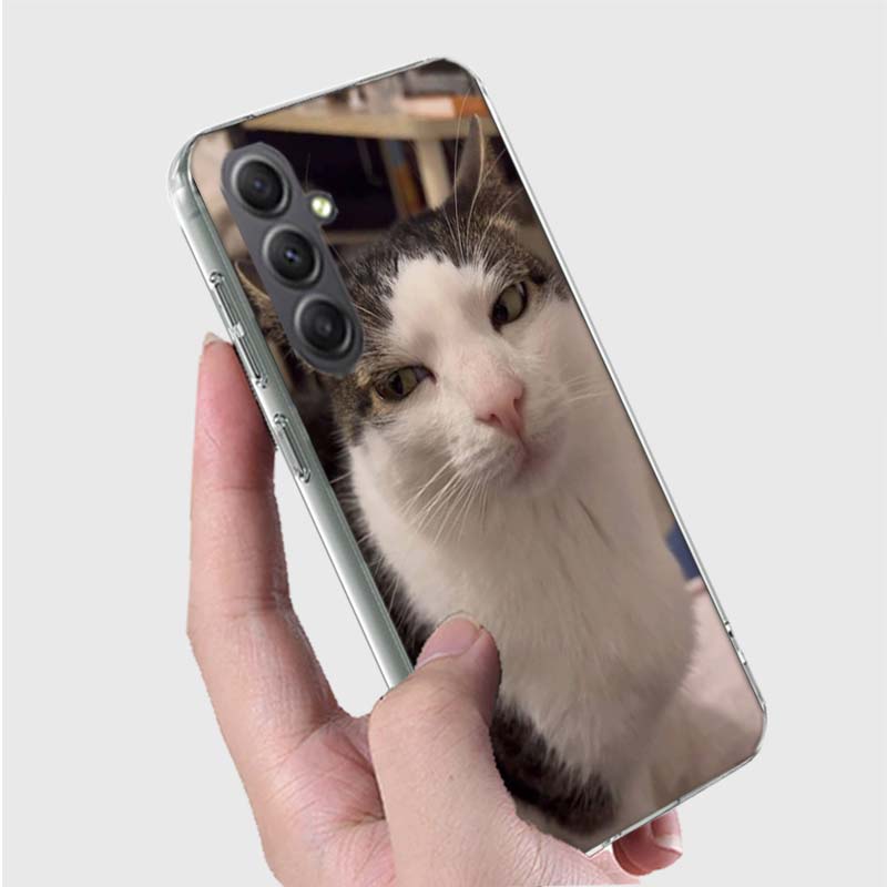 Pet Cat Funny Memes Phone Case for Samsung A16 A26 A36 A56 A17 A37 A57 A07 A06 A02S A03 A04S A05S Galaxy Note 20 10 A50S A71 A51