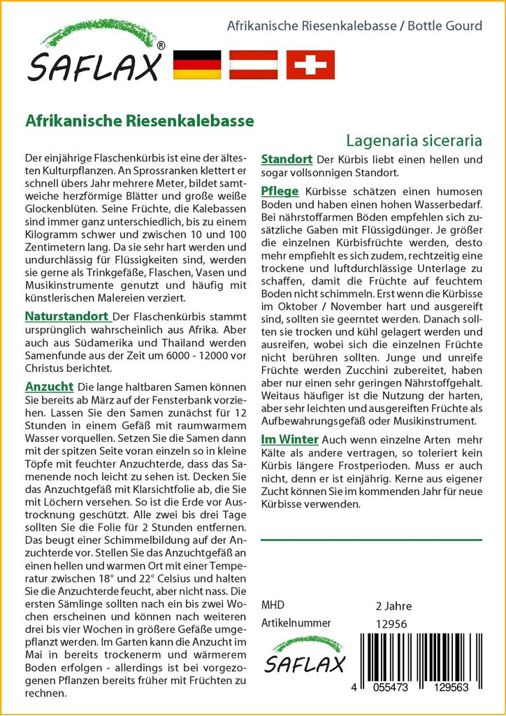 SAFLAX Подарочный набор - Тыква бутылочная - 15 семян - С подарочной коробкой, карточкой, этикеткой и субстратом для горшков - Lagenaria siceraria