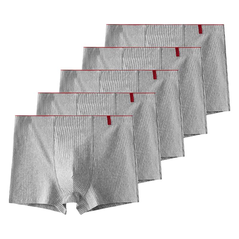 5 штук мужских боксеров хлопковое нижнее белье антибактериальные трусы мужские трусы XL XXL 3XL 4XL 5XL