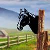 Wrought Iron Silhouette Well-Behaved Horse Head Shape Garden Fence Stake Decoration - Ideal for Home Room Wall Decor