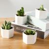 Белый креативный керамический небольшой шестигранный цветочный горшок для суккулентов с бамбуковым и деревянным подносом, балконный зеленый горшок для садовых суккулентов