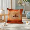 Fun Kwaii Cat Anime Pillow Case Silky elegant Comfort Sofa Bed Invisible zipper
