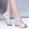 Summer Women Sandals Rhinestone Thick High Heels Fashion Woman Shoes Ladies Buckle Open Toe Sandals Feamle Casual Platform Shoes