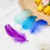 Натуральный цвет Свадебные украшения Декорация для костюма Гусиные перья Разноцветные перья Украшение для дома