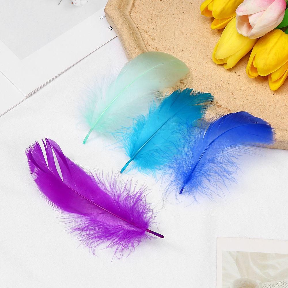 Натуральный цвет Свадебные украшения Декорация для костюма Гусиные перья Разноцветные перья Украшение для дома