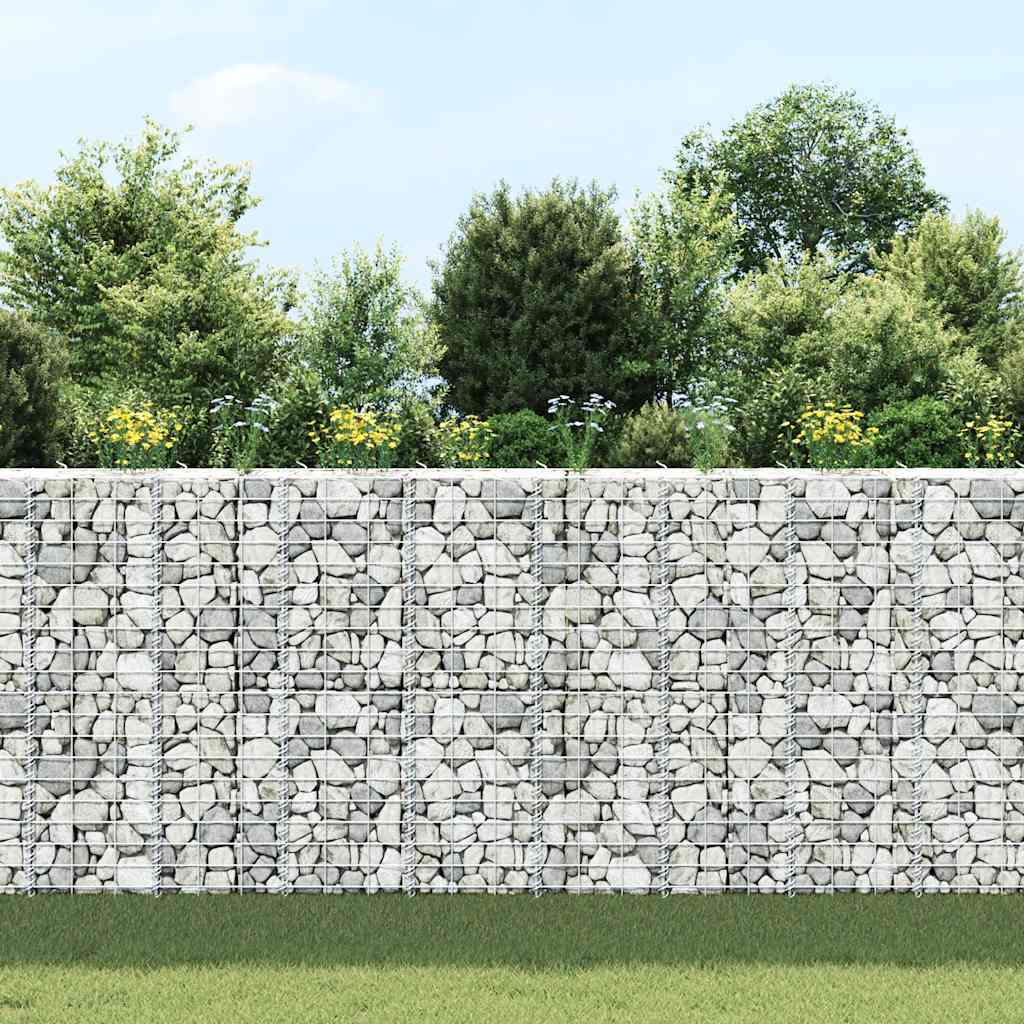 Gabion Raised Beds (3 pcs) 30 x 30 x 100 cm Iron