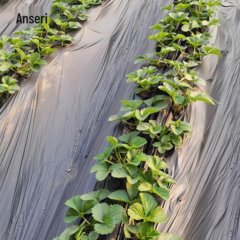 Ancairui Black PE Agricultural Weed Control Film
