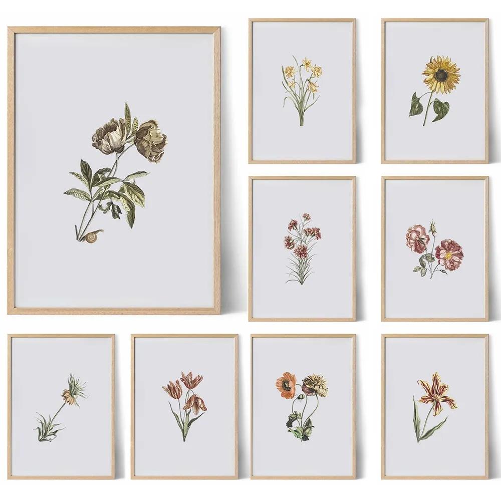 Винтажные постеры с дикими растениями, ботанические цветочные принты, картины на холсте, современные настенные художественные картины для гостиной, украшения дома